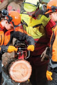 Chainsaw Safety Classes for Women Image
